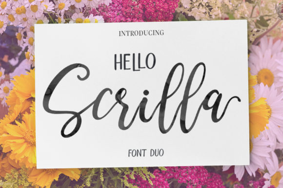Why Hello Scrilla Script is a Go-To Font for Modern Designers